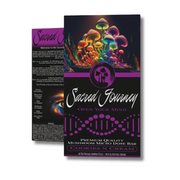 Sacred Journey Mushroom Chocolate Bar 4G