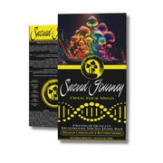 Sacred Journey Mushroom Chocolate Bar 4G