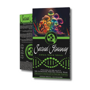 Sacred Journey Mushroom Chocolate Bar 4G