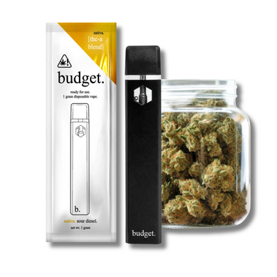 Budget THCA Disposable Vape 1 Gram - Sour Diesel (Sativa)